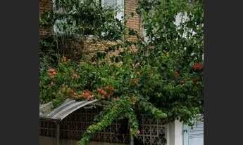 Imagem 3: R Califórnia / Oportunidade!