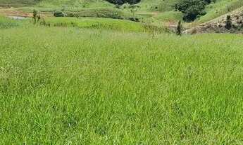 Imagem 5: Fazenda à venda em região privilegiada no interior de São Paulo!