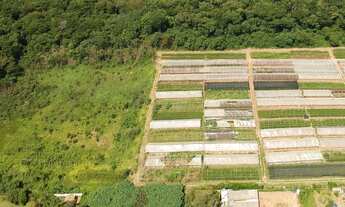 Imagem 4: Atibaia SP Sítio 20.000 m² C/Escritura Definitiva AC/Imóveis e Veículos