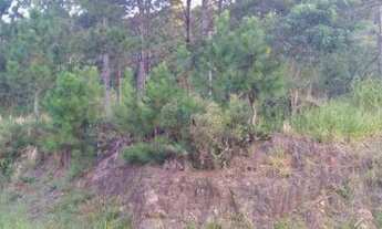 Imagem 3: Terreno à venda, 886 m² por R$ 1.760.000,00 - Itacorubi - Florianópolis/SC