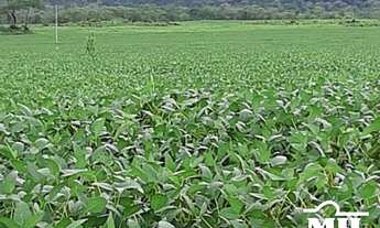 Imagem 3: Fazenda em Silvanopolis-TO. > 391 Alq. (1.894 Há). em Soja