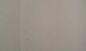 Imagem 6: Para aluguel Pelotas Loja