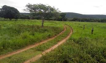 Imagem: FAZENDA COM 252 HECTARE NA REGIÃO AGROVILA