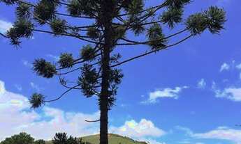 Imagem 4: Terreno em Condomínio Itaipava Petrópolis/RJ