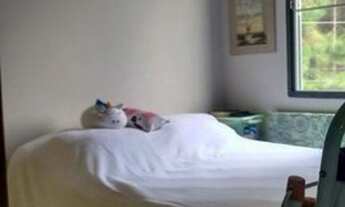 Imagem 3: Apartamento com 2 dormitórios à venda 48 m² - Jardim Mirna - Taboão da Serra/SP