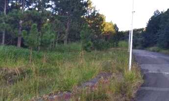 Imagem 5: Terreno à venda, 886 m² por R$ 1.760.000,00 - Itacorubi - Florianópolis/SC