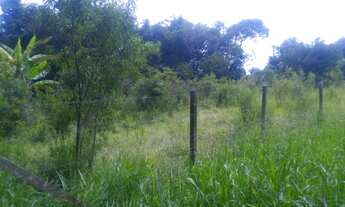 Imagem 4: Terreno GABRIEL PIZZA SAO ROQUE SP Brasil