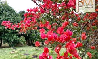 Imagem 7: Fazenda com 11 dormitórios à venda, 420000 m² por R$ 1.050.000,00 - Centro - Lençóis/BA