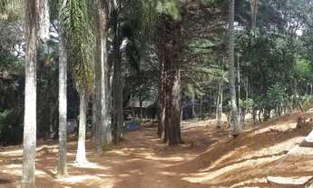 Imagem: Fazenda/Sítio/Chácara para venda tem 700