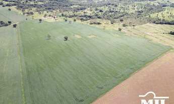 Imagem 6: Chácara 5,5 em Cromínia - GO