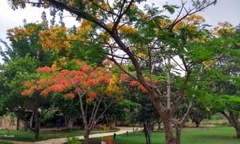 Imagem 6: Hotel Fazenda/Local para retiros