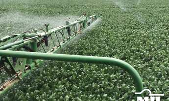 Imagem 2: Fazenda em Silvanopolis-TO. > 391 Alq. (1.894 Há). em Soja