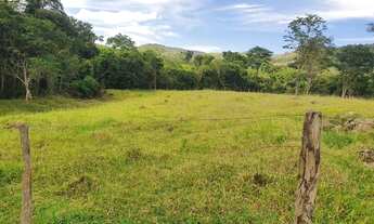 Imagem 3: Fazenda de 54 alq. Cocalzinho