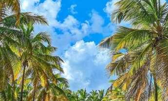 Imagem 5: ((( Oportunidade para investidores )))) Flat na Praia do Cupe, lançamento especial. W