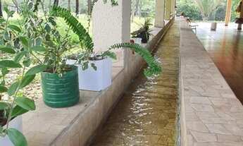 Imagem 4: Fazenda de 54 alq. Cocalzinho