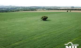 Imagem 4: Chácara 5,5 em Cromínia - GO