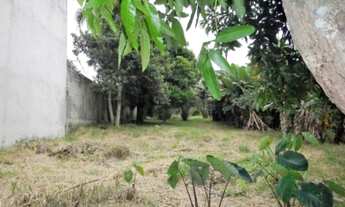 Imagem 7: Terreno - Mogi das Cruzes