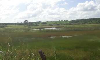 Imagem 7: Excelente Fazenda com 95 hectares na região de vera cruz