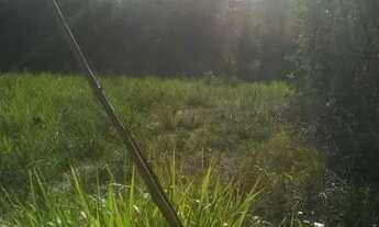 Imagem 4: Vende-se este terreno