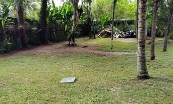 Imagem 6: VENDO DESLUMBRANTE IMÓVEL EM MATA PACA, PENDOTIBA