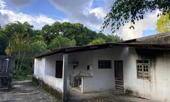 Imagem 5: Sítio situado em palmares