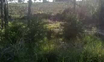 Imagem 3: Vende-se este terreno