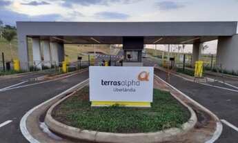 Imagem 3: Lote Terras Alpha