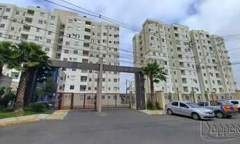 Imagem 2: Novo Hamburgo - Apartamento Padrão - Vila Rosa
