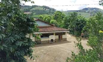 Imagem 2: MT Sítio com café produzindo - Linhares