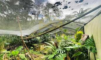 Imagem 7: Chácara - Dois Córregos - Valinhos