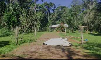 Imagem 3: Chácara para alugar