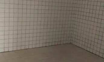 Imagem 7: Casa Comercial Casa com 5 dormitórios