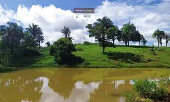 Imagem 3: Fazenda Extra em Piranhas-GO ! 30 Alqueires ! Oportunidade