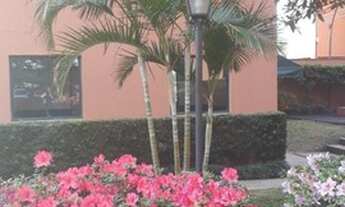 Imagem 5: Apartamento para Locação em São Paulo, Vila do Castelo, 3 dormitórios, 1 banheiro, 1 vaga