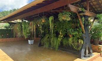 Imagem 2: VENDE-SE EXCELENTE PROPRIEDADE EM S?O MIGUEL DO ANTA - MG