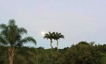 Imagem 4: Saquarema - Casa Padrão - Barreira