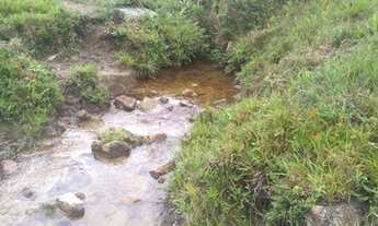 Imagem 5: Sítio com 4 Alqueires de Terras Férteis e Rico em Água, Sul de Minas, Delfim Moreira/MG