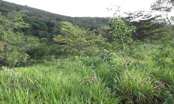 Imagem 4: Fazendinha rural de 6.5 ha, Jaboticatubas (Temos varias opções)