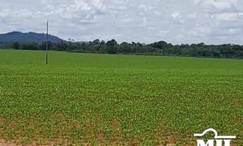 Imagem 7: Fazenda em Silvanopolis-TO. > 391 Alq. (1.894 Há). em Soja