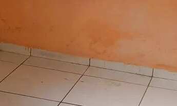 Imagem: Alugo apartamento no primavera