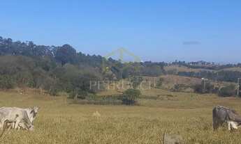 Imagem 7: Sítio - Soamin - Porto Feliz