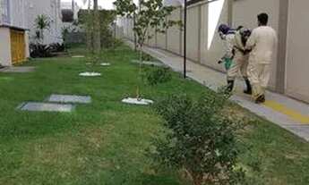 Imagem 2: Apartamento jardim sul