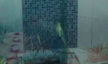 Imagem 7: Casa para venda possui 232 metros quadrados com 3 quartos em Centro - Maricá - RJ