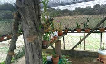 Imagem 5: área - Guedes - Jaguariúna