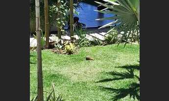 Imagem 4: Lt; Morada do Rio / oportunidade!