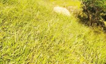 Imagem 7: Terreno para investir