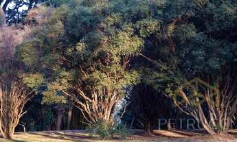 Imagem 6: Terreno - Tanquinho Velho - Jaguariúna