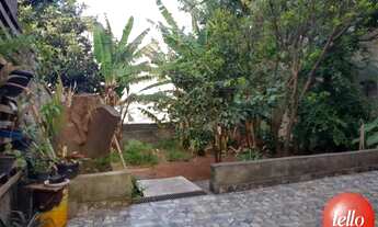 Imagem 7: São Paulo - Casa Padrão - Vila Matilde