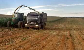 Imagem 3: Fazenda + pivo + trator + implementos + gado + silo em Abaeté - Pompéu