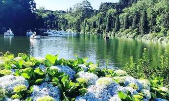 Imagem 7: Apartamento 02 Dormitórios - Bairro Várzea Grande